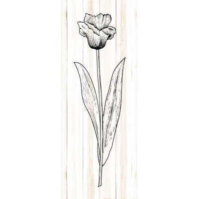 «Vintage Tulip I», reproduction d'art sur toile tendue