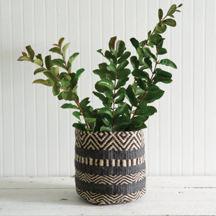 Cachepot