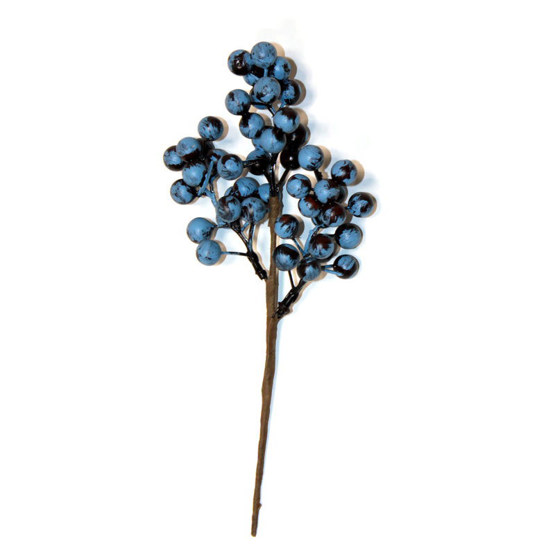 Cueillette de bleuets 10 po