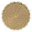 Beach Parasol