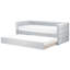 Anilu Upholstered Daybed with Trundle-147668864