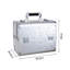 Makeup Box Professional Cosmetic Organizer Storage Box with 6 Trays