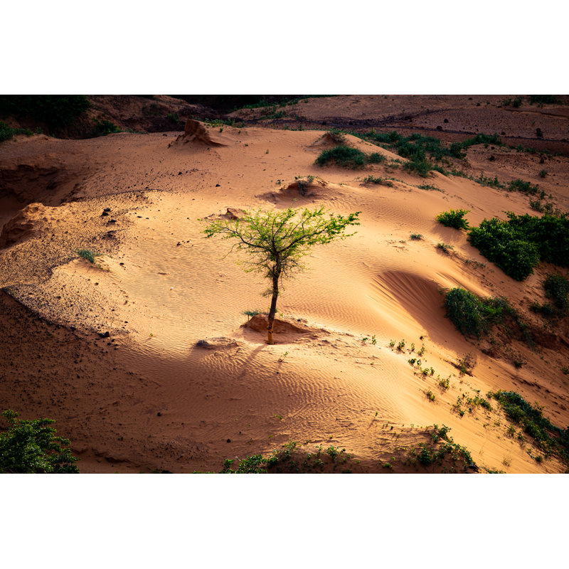 Sun Shining A Spotlight by Madalin Olariu - Wrapped Canvas Print, 20cm H x 30cm W x 3.8cm D