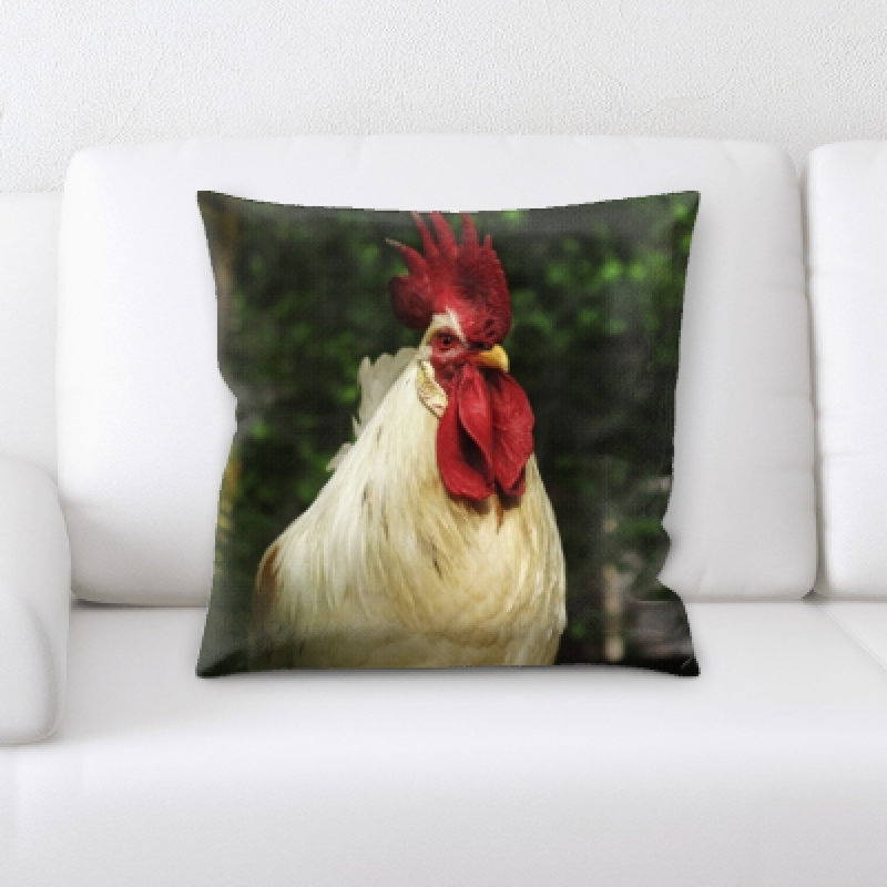 Housse de coussin carré et insert Edgao