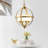 Cannady 4 - Light Dimmable Globe Chandelier-1960789714
