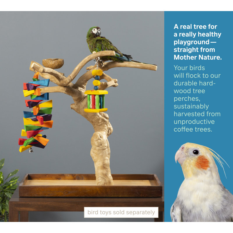Large Natural Coffeawood Table Top Bird Playstand