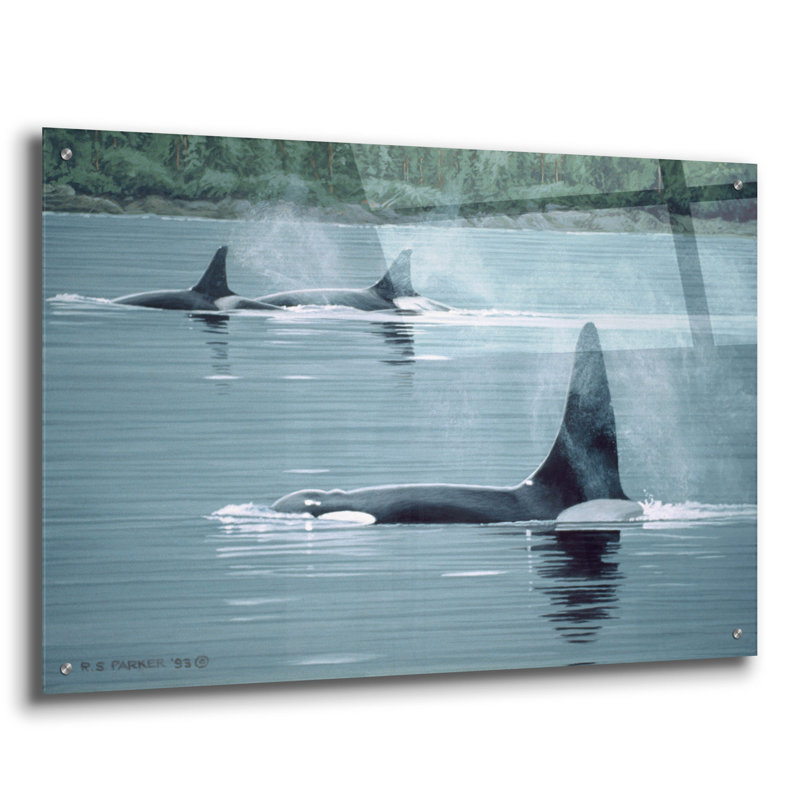 "Orques" par Ron Parker, H 24 po x l 36 po x P 0,2 po