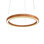 1 - Light Chandelier