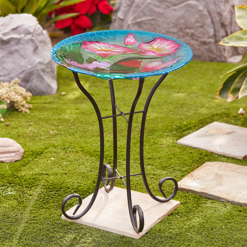 22.5'' H Glass Bird Bath with Metal Stand