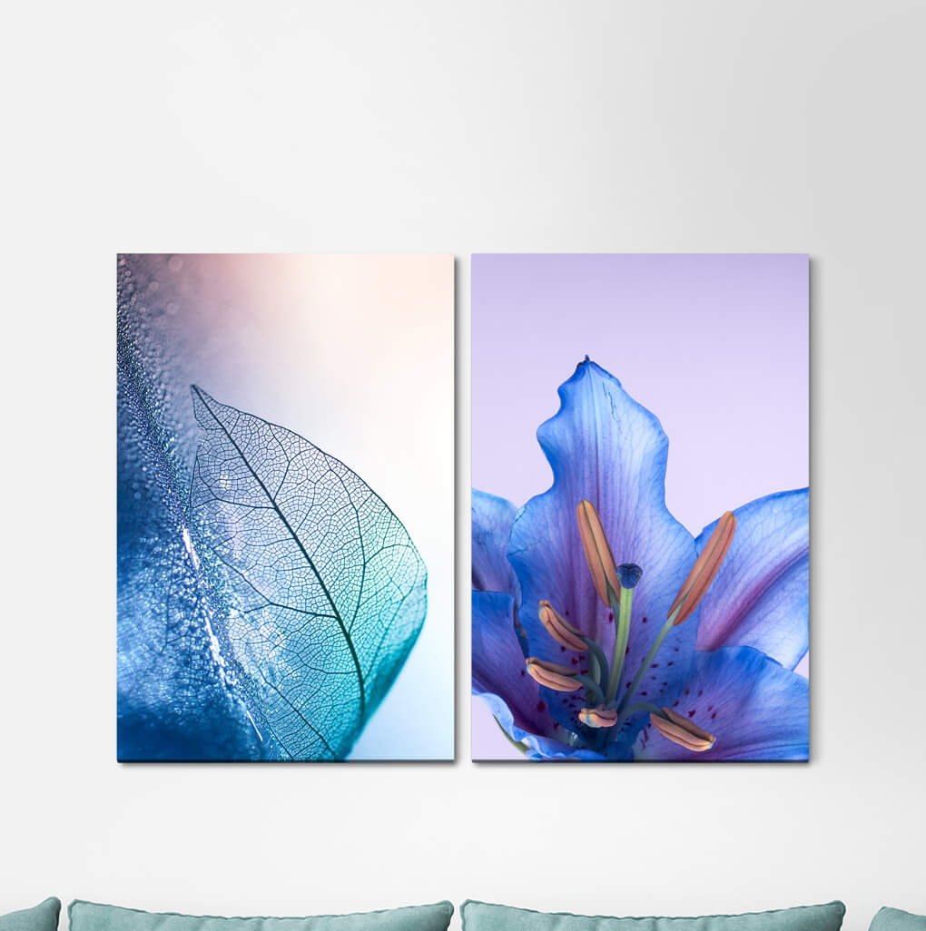 2-tlg. Leinwandbilder-Set - Fotografie „Flower Blossom Blue Leaf”