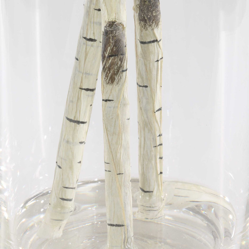 Uttermost Nigra Birch Vase Centerpiece