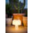 The Boleti Lamp