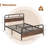 Mohler Metal Open-Frame Bed-1591901811