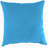 Sunbrella Outdoor Throw Pillow-676137763