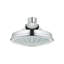 Euphoria® Rustic Adjustable Shower Head