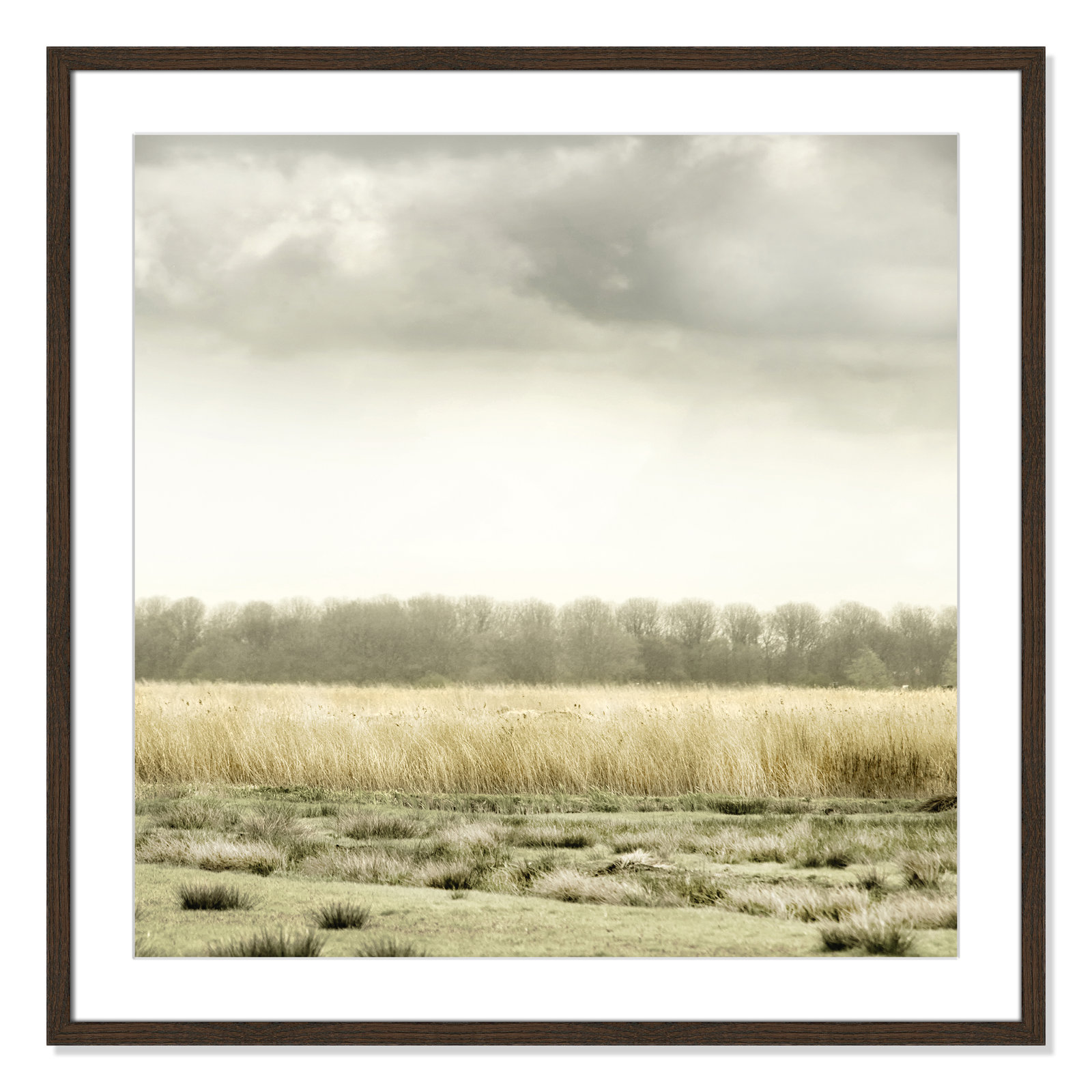 Henri "Meadowland" Print by Danita Delimont, 32" H x 32" W, Walnut Wood Grain