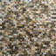 11.4" x 11.9" Seashell  Wall Floor Use Tile