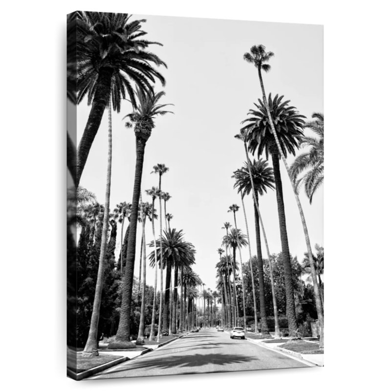 Californie noire - Palmeraie de Beverly Hills I, H 39 po x l 26 po