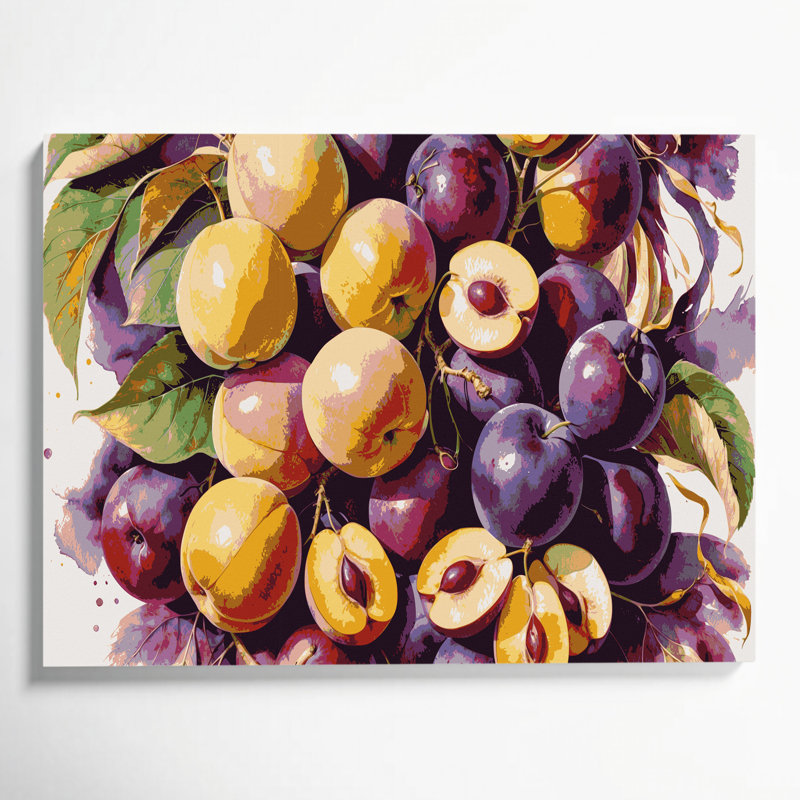 Fruit Plumcot Brown Canvas Wall Art