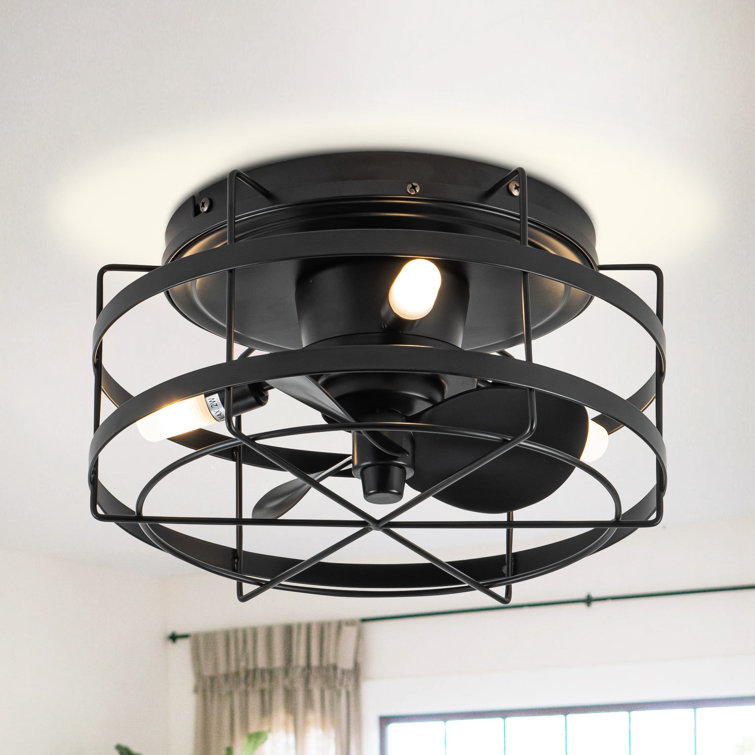 Anthony 12.5'' Black Caged Ceiling Fan with Lights and Remote Control, Small Flush Mount Ceiling Fan