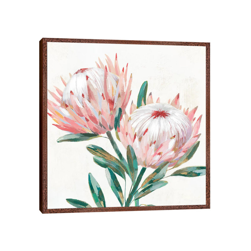 King Protea I by Isabelle Z - Painting on Canvas, Classic Brown Wood Framed, 45.72 cm H x 45.72 cm W