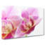 A Pink Orchid Flower - Wrapped Canvas-55368253