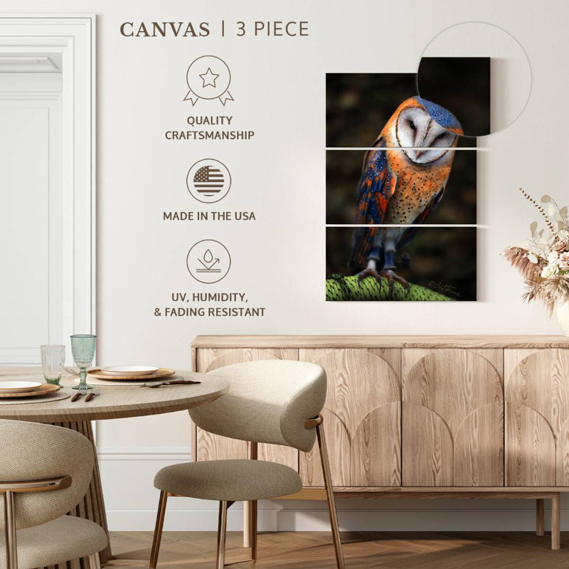 Brampt Heart-Shaped Face Barn Owl, 32" H x 20" W