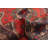 Windley Red Rug 3'4" x 5'9"
