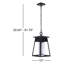 Becca Outdoor Hanging Lantern