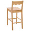 Rosetty Scallop Counter Stool-125847859