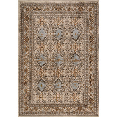 Oriental Indoor Rug