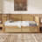 Traditional Style Rattan Daybed With Twin Size Trundle For Limited Space, Guest Room, No Box Spring Needed,Antique Walnut-248008123