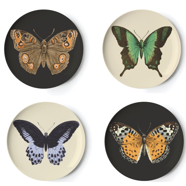 Metamorphosis Coaster
