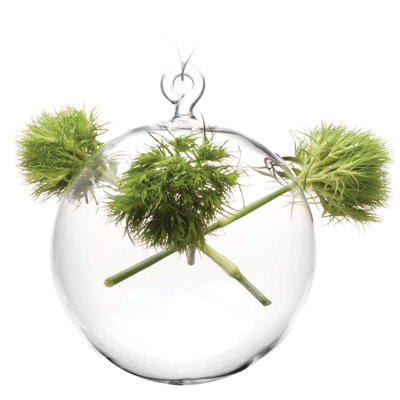Hana Glass Wall Vase