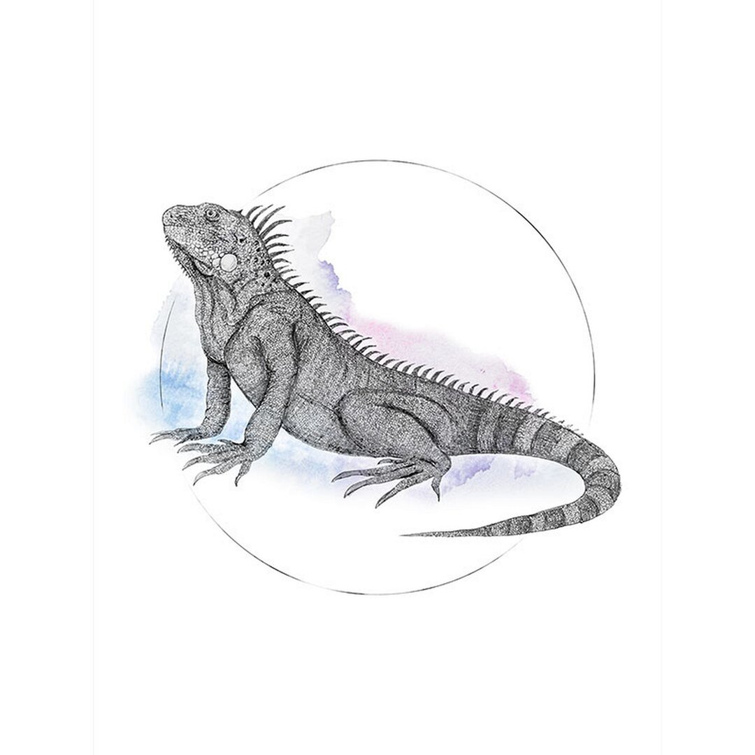 Poster Leguan Aquarell