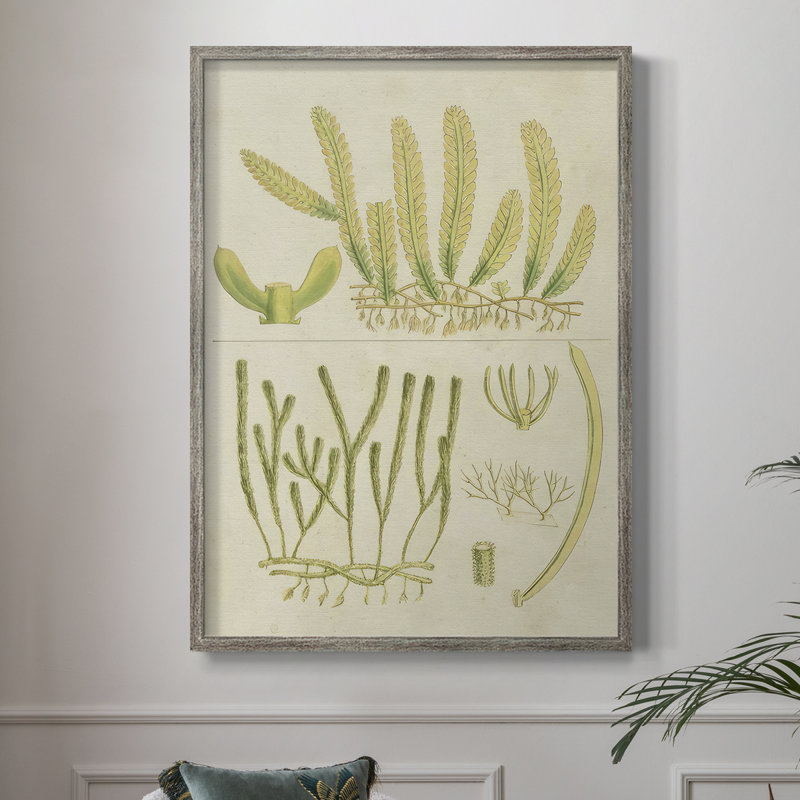 Reproduction encadrée de V Vintage Sea Grass - bois massif, H 11 po x l 9 po
