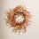 24" Fall Autumn Twig Berry Front Door Wreath