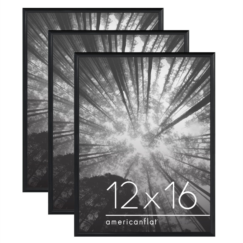 Malaya 3 Pack Lightweight Poster Frames Slide-In Photo Frames with Buildable Moulding, 12" x 16"