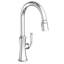 Stripling Single Handle Pull Down Kitchen Faucet-2024709775