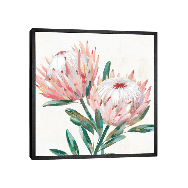 King Protea I by Isabelle Z - Painting on Canvas, 66.04 cm H x 66.04 cm W, Black Framed