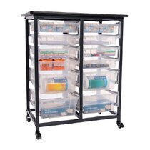 Anuoluwa 12 Drawer Storage Drawer