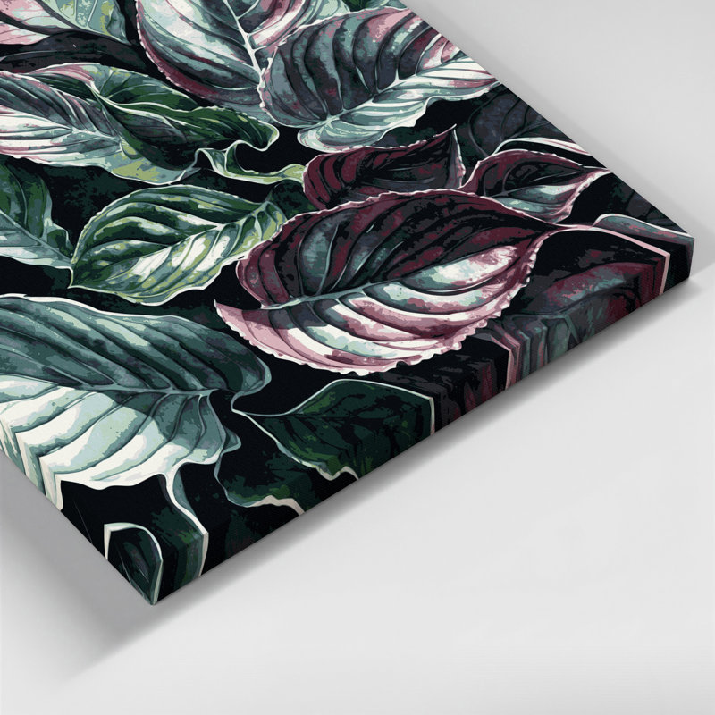 Art botanique sur toile noir Bégonia Rex, H 16 po x l 16 po