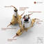 Calder Complete Shower System with Rough in-Valve-61901571