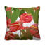 Housse et insert de coussin extérieur Clive-56188022-56188023