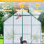 Serre en polycarbonate 8 x 8 pi pour l'extérieur, avec cadre, base galvanisée en toute saison, toutes les structures et plantes