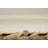 Brogan Berber Reversible Ivory Wool Area Rug with Jute Core and Jute Fringe-1863924534