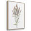 "Dicat Botanical I", reproduction sur toile 3 pièces-91890848-91890847