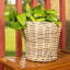 Jardinière ronde avec insert en plastique
