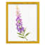 Annie's Foxglove II-117258033-117258039
