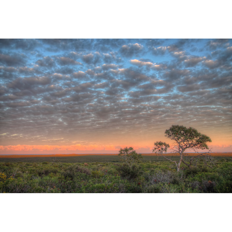 Outback Australia - Wrapped Canvas Print, 51cm H x 76cm W